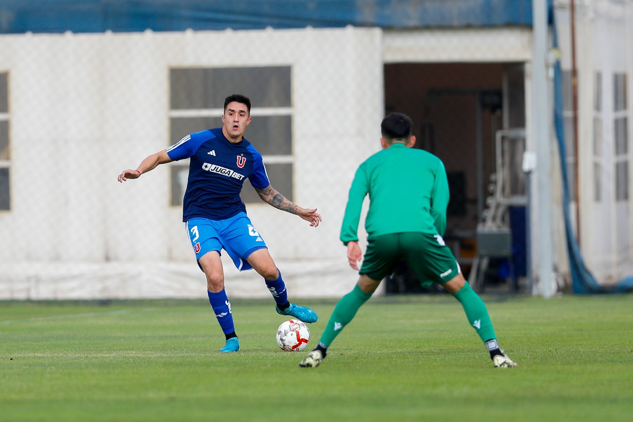 Foto: Universidad de Chile